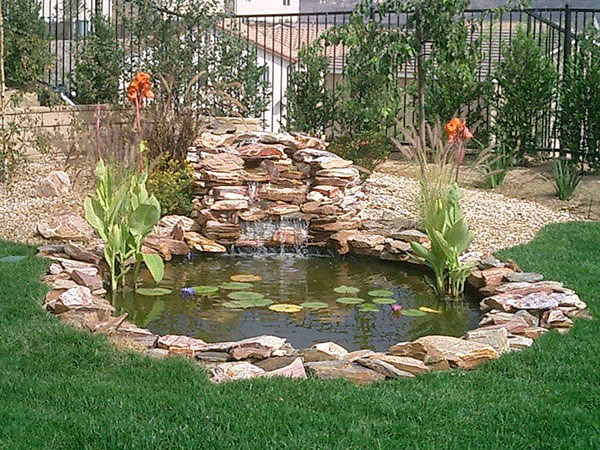 North Jersey Backyard Ponds Contractor