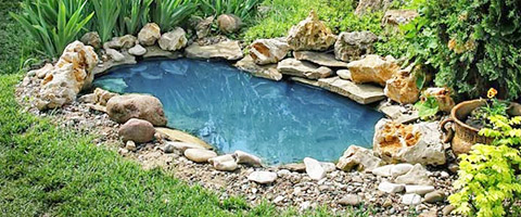 Backyard Ponds Contractor in North Jersey
